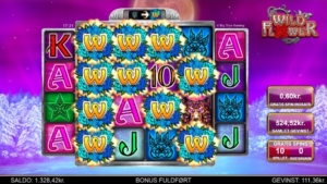 Stallcation won 874x on Wild Flower at Leovegas